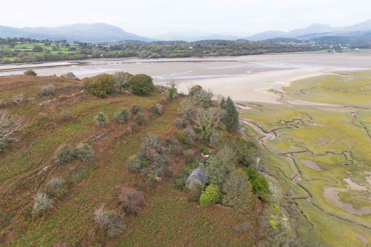 The barely inhabited welsh island of Ynys Gifftan, overgrown and lush