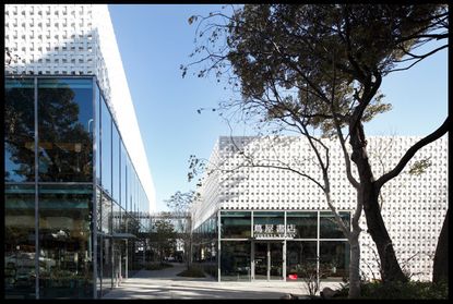 Exterior view of Tsutaya Books - glass front buildings with white logo-perforated screen facades and a walkway with multiple trees under a clear blue sky