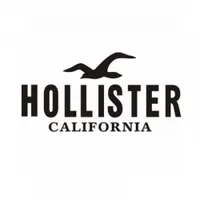 Hollister sale