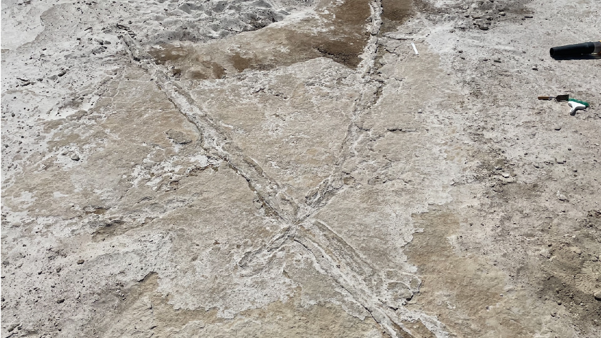 A photo of two crossing tracks making an X shape in the dirt