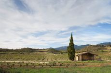 Izadi_landscape.jpg