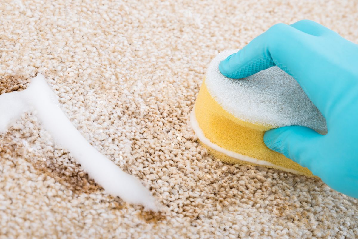 How To Clean A Carpet – With Or Without Carpet Cleaner | Real Homes