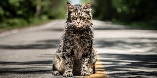 Church the cat in Pet Sematary 2019