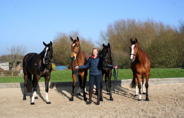 Coral-and-4-horses-e1487242019376.jpg