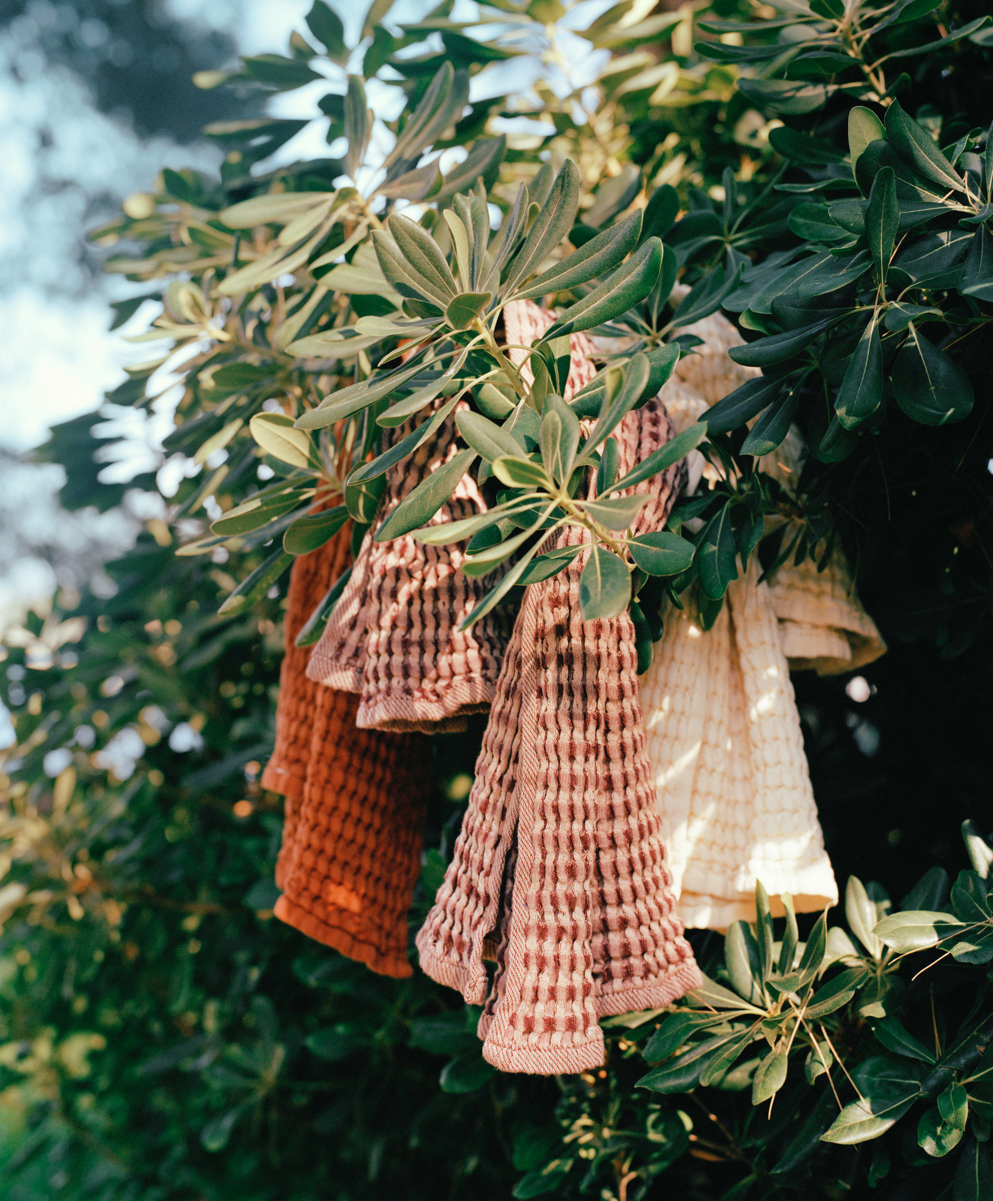 waffle textiles hanging in tree