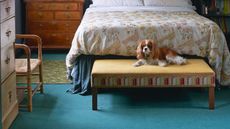 A dog on an ottoman at the food of a bed