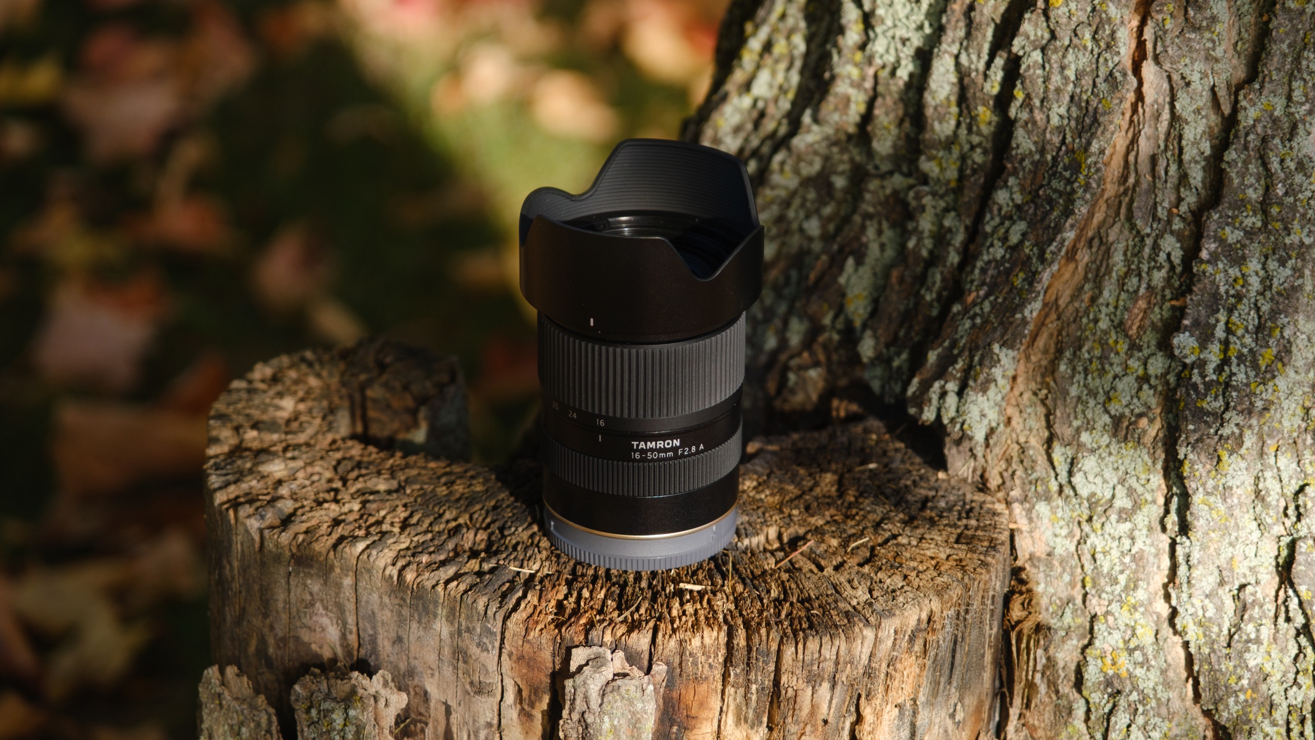 The Tamron 16-50mm f/2.8 A lens photographed outdoors