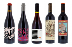 South American Old Vine Reds