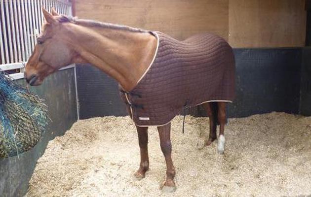stable-bedding.jpg