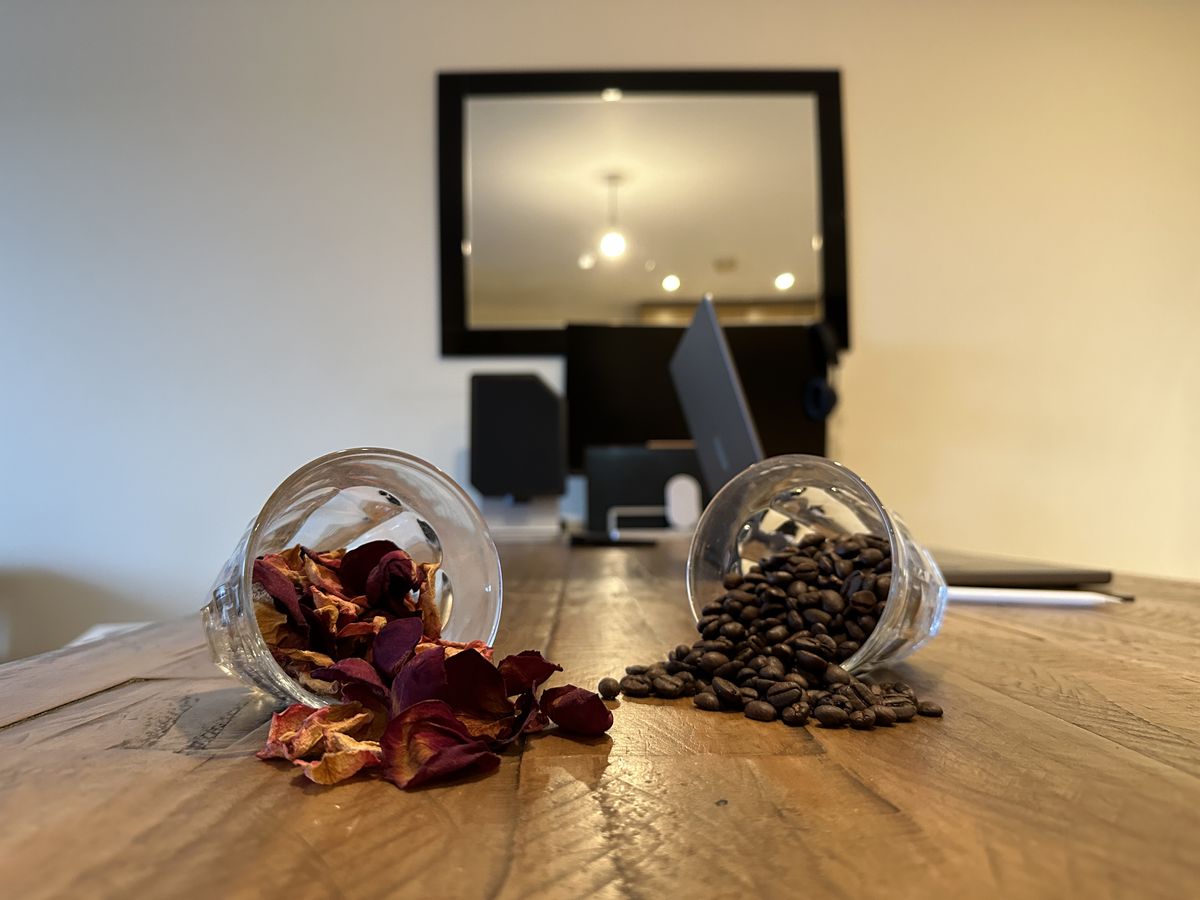 A photo captured using the iPhone 14 Pro Max