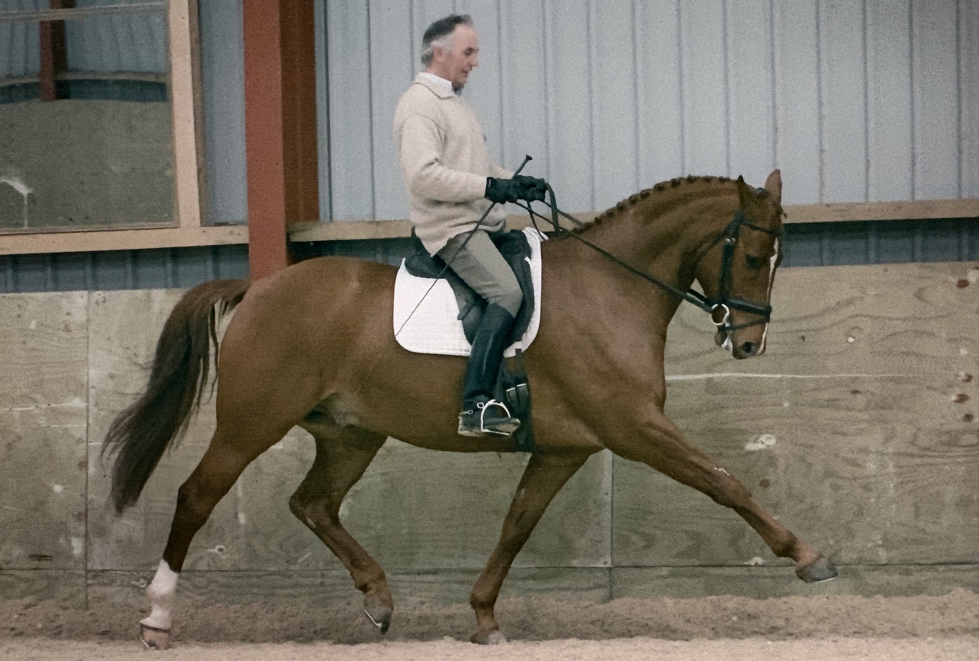 Paul Belton riding his beloved horse Eric