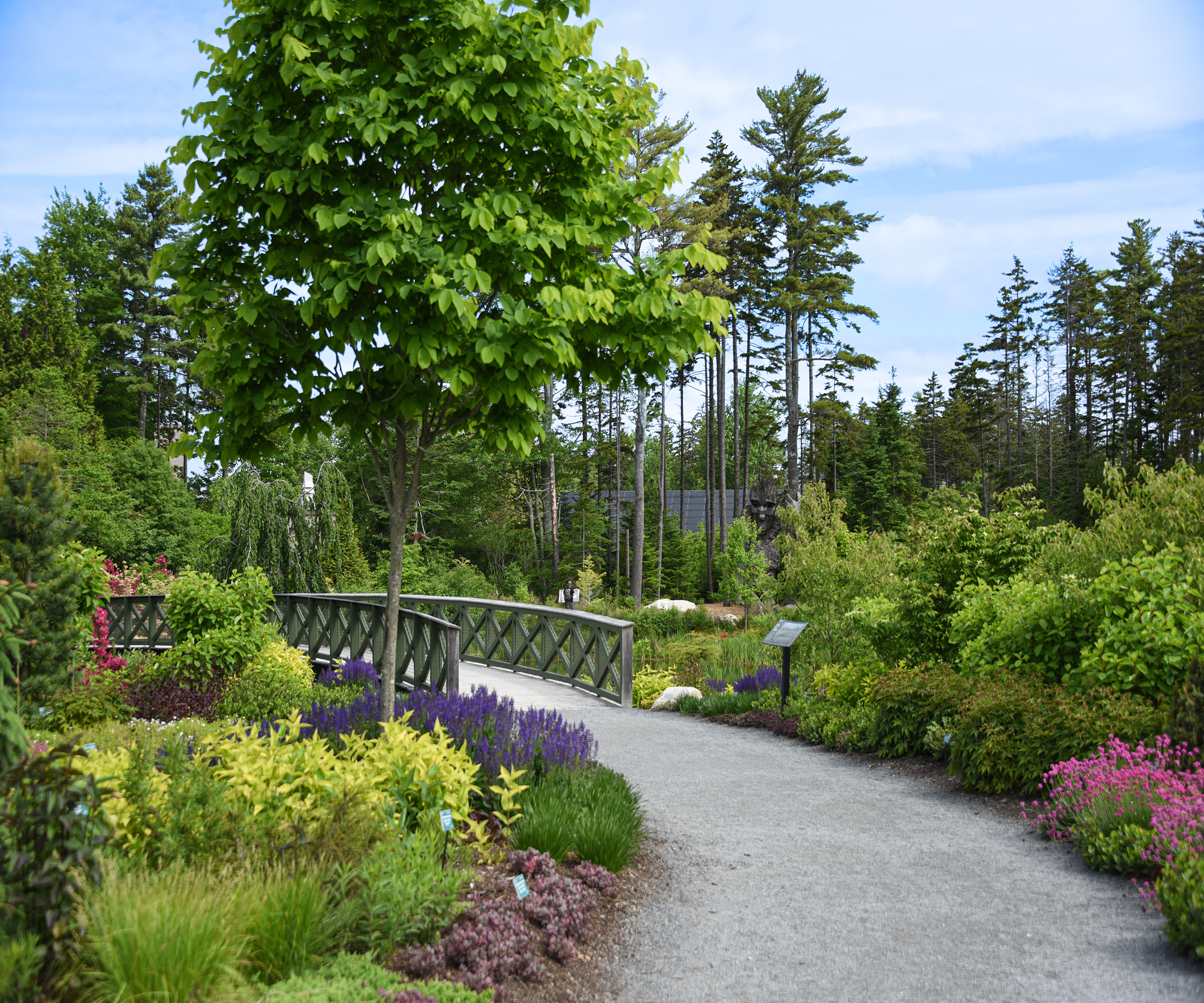 Bridge and perennial and shrub planting at Coastal Maine Botanical Gardens