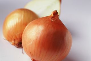 Onions