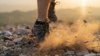 trail shoes