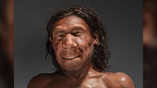 A facial reconstruction of a Neanderthal who lived in Doggerland between 70,000 and 50,000 years ago.