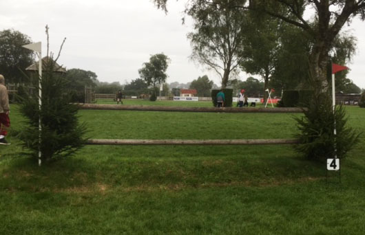 Fence 4 &mdash;&nbsp;Permanent Mound