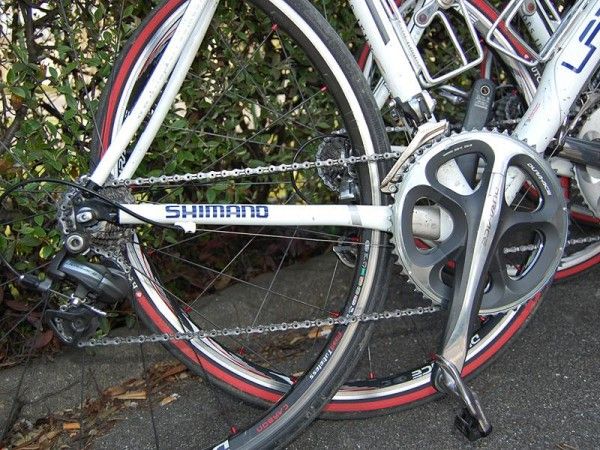 Flattened chain stays are designed to flex a bit over rough terrain - of which the riders will see plenty.
