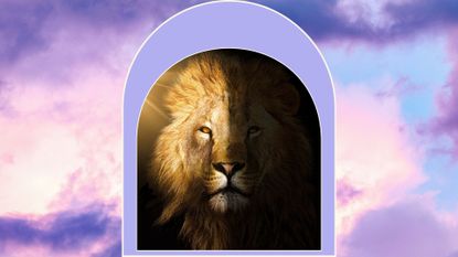 a lion in a purple portal on a purple sunset sky background, meant to symbolize lions gate portal 2023