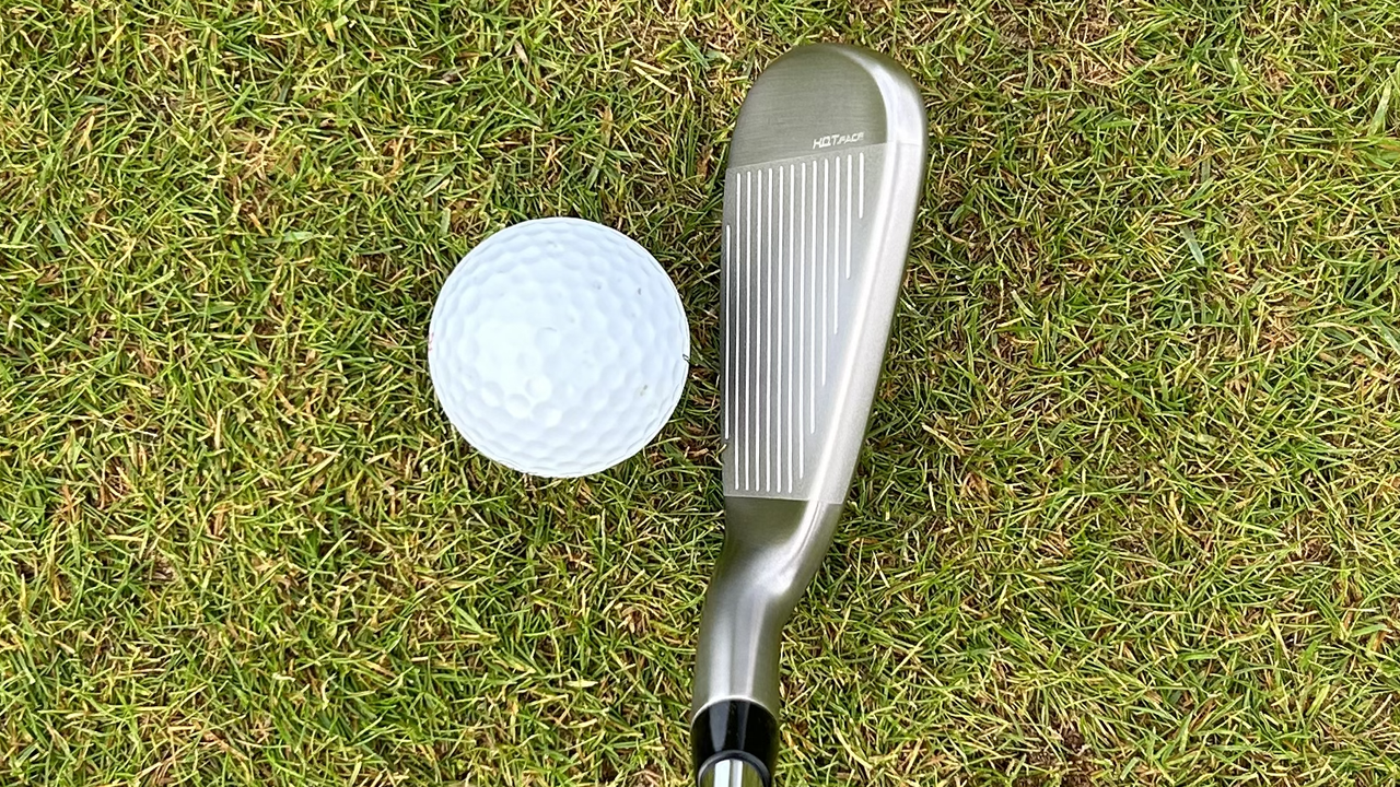 Photo of the Cobra DS-ADAPT 8 iron
