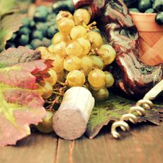 wine corks and plants and bottles on table
