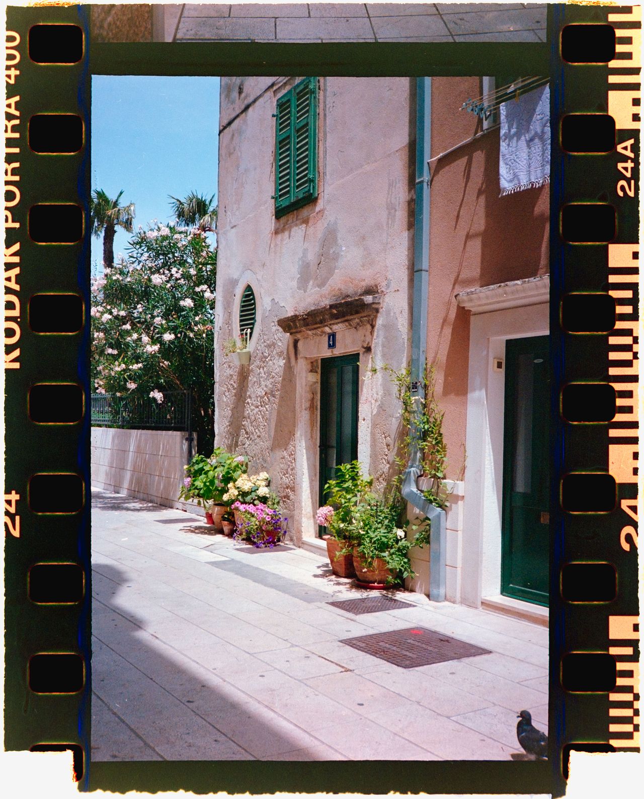A stone house with plants outside it, shot on 35mm film with film borders around the outside of the image