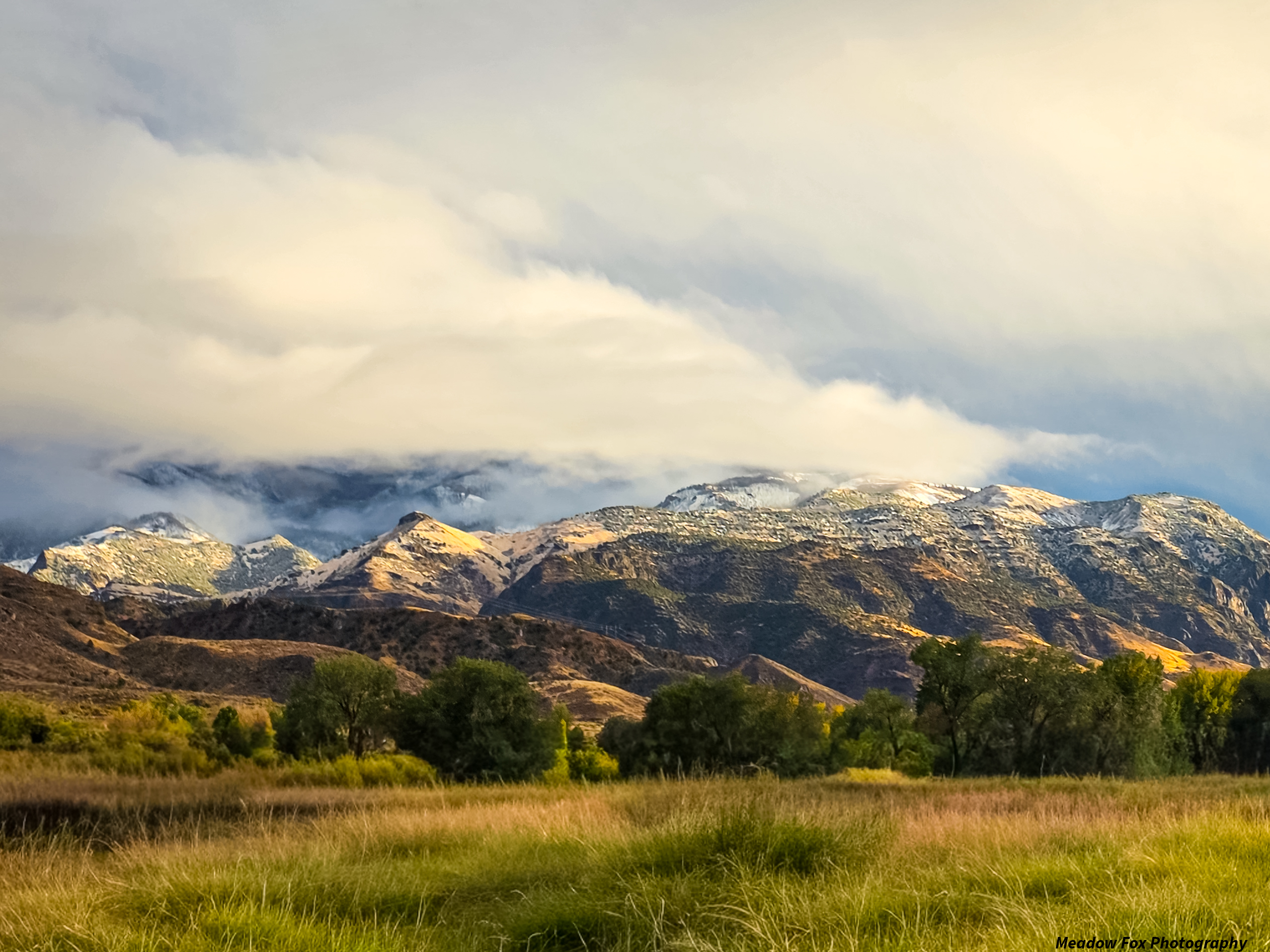 GuruShots - March 2026