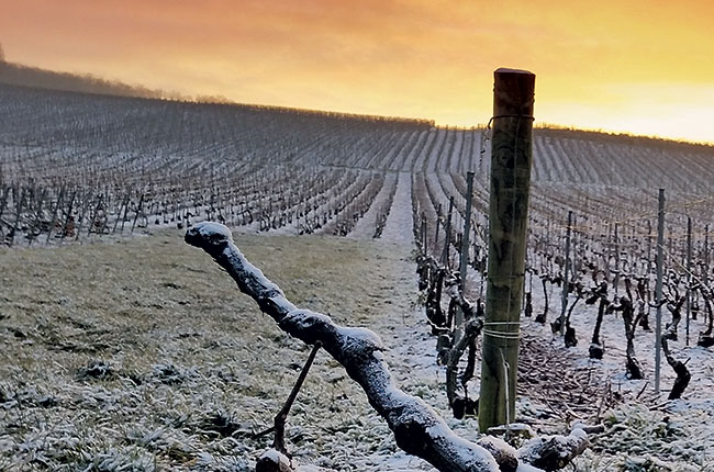 Ayala, Chouilly, Champagne