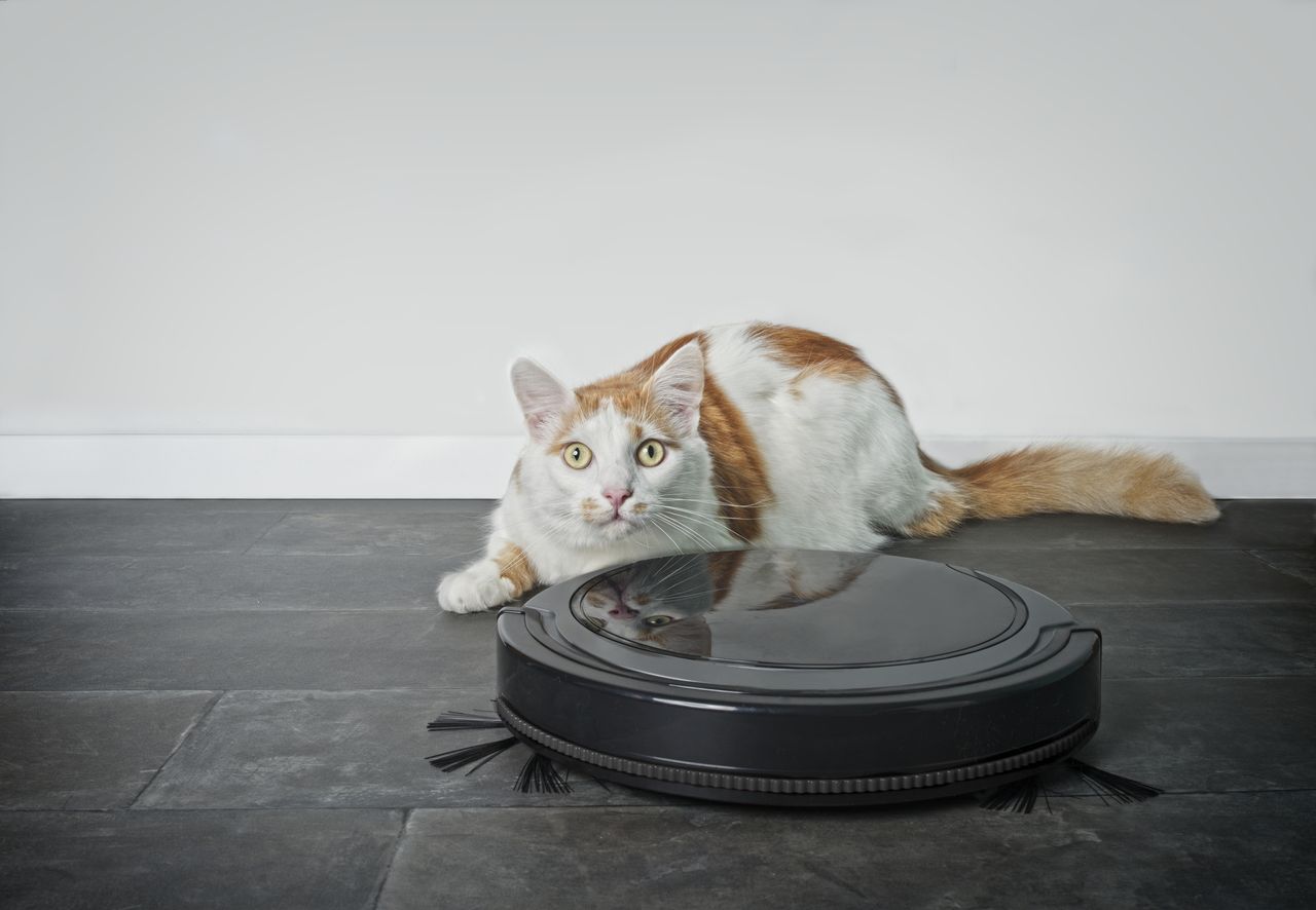 A Roomba.