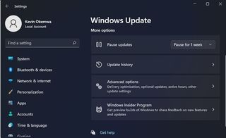 Windows 11 Windows Update page on Settings app