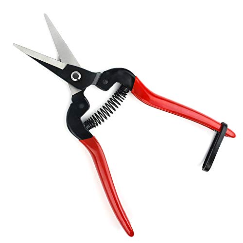 Flora Guard Pruning Shears, Micro-Tip Pruning Snip Straight Garden Scissors Florist Scissor With Carbon Steel Blades for Arranging Flowers, Trimming Plants