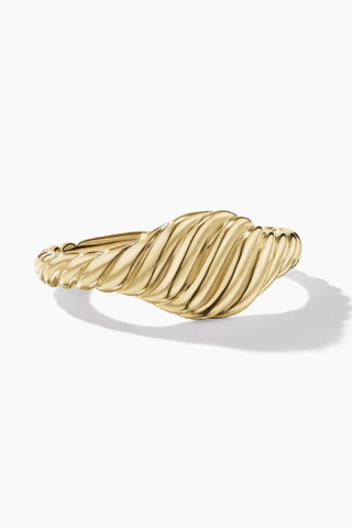 Sculpted Cable Micro Pinky Ring in 18k Yellow Gold