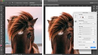 Screenshot of horse's face in Photoshop