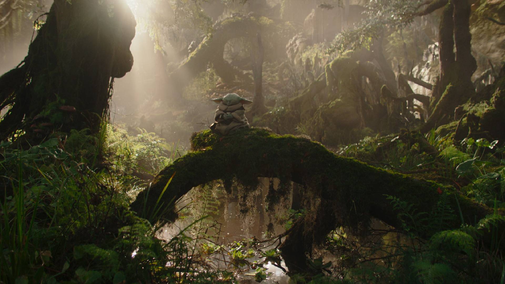 Grogu meditating in The Mandalorian and Grogu