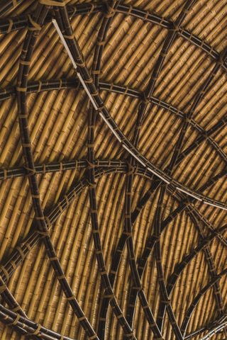 bamboo roof structure