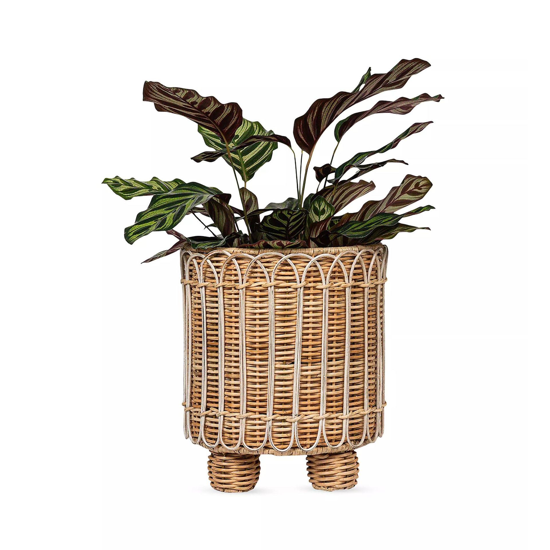 Juliska Provence Rattan Round Planter/8"