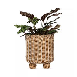 Juliska Provence Rattan Round Planter/8"