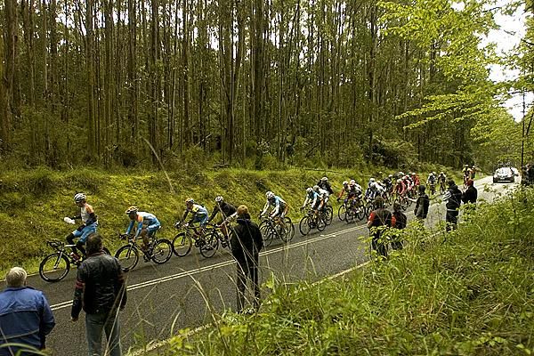 The main bunch head over the top of the climb near Lorne as the weather begins to turn sour again.