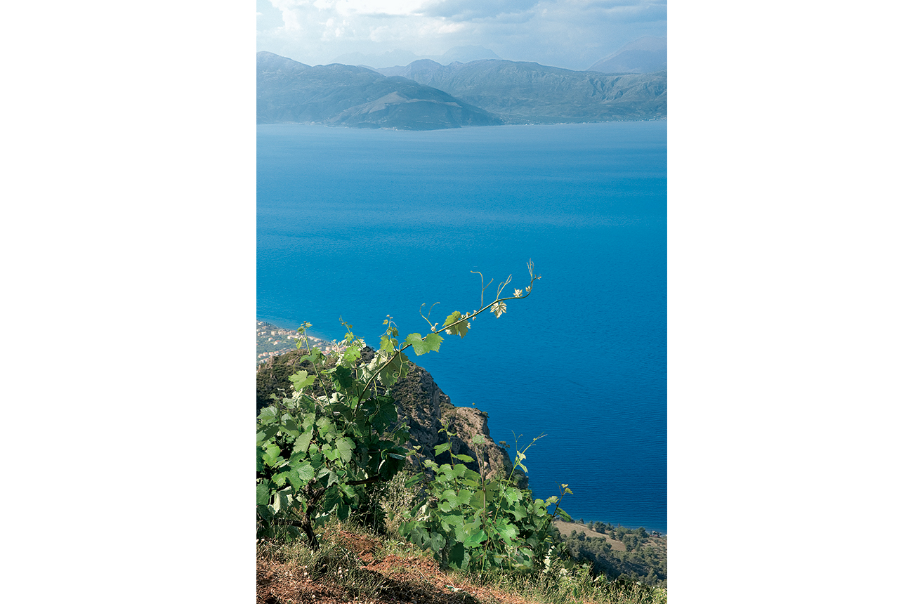 A breathtaking view from high above the Aegio coastline, overlooking the azure waters of the Corinthian Gulf. Credit: Greek Wine Federation.