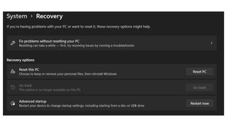 A screenshot of the Windows 11 recovery menu