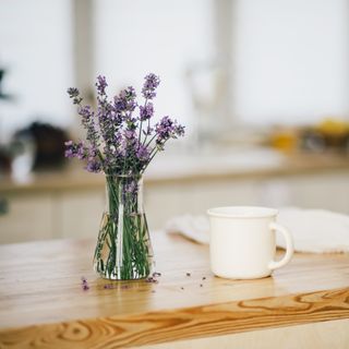 Lavender in vase on table next to white mug