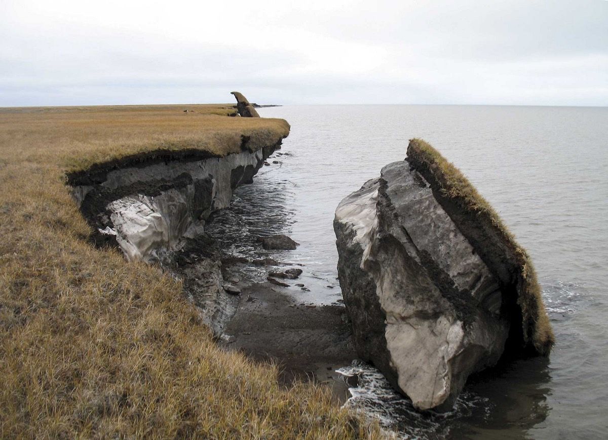 A block of ice-rich permafrost collapses along Drew Point, Alaska. 