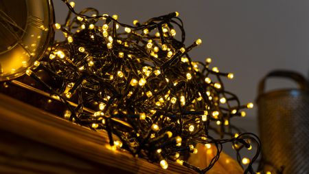 Tangled fairy lights