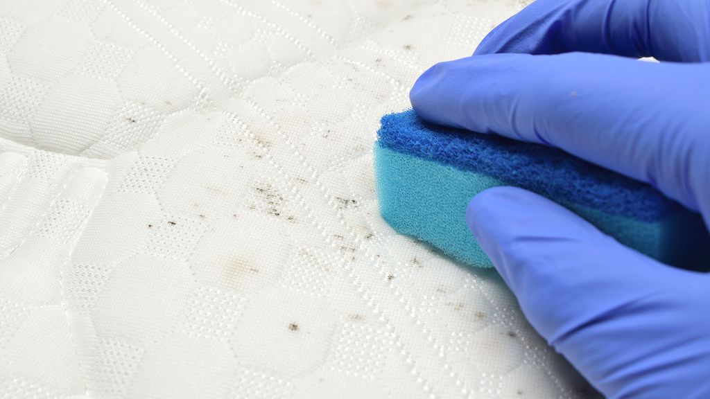 mold-on-your-mattress-here-s-how-to-get-rid-of-it