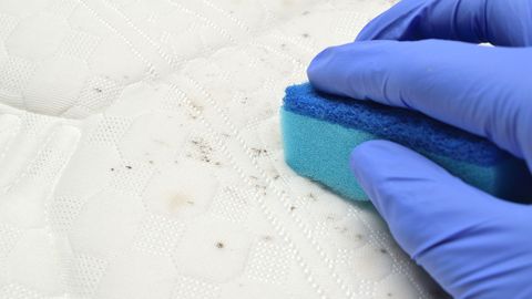 How to spot mattress mold and deal with it quickly | Tom's Guide