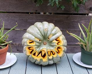 A pumpkin carving idea with facial features carved on top of pumpkin