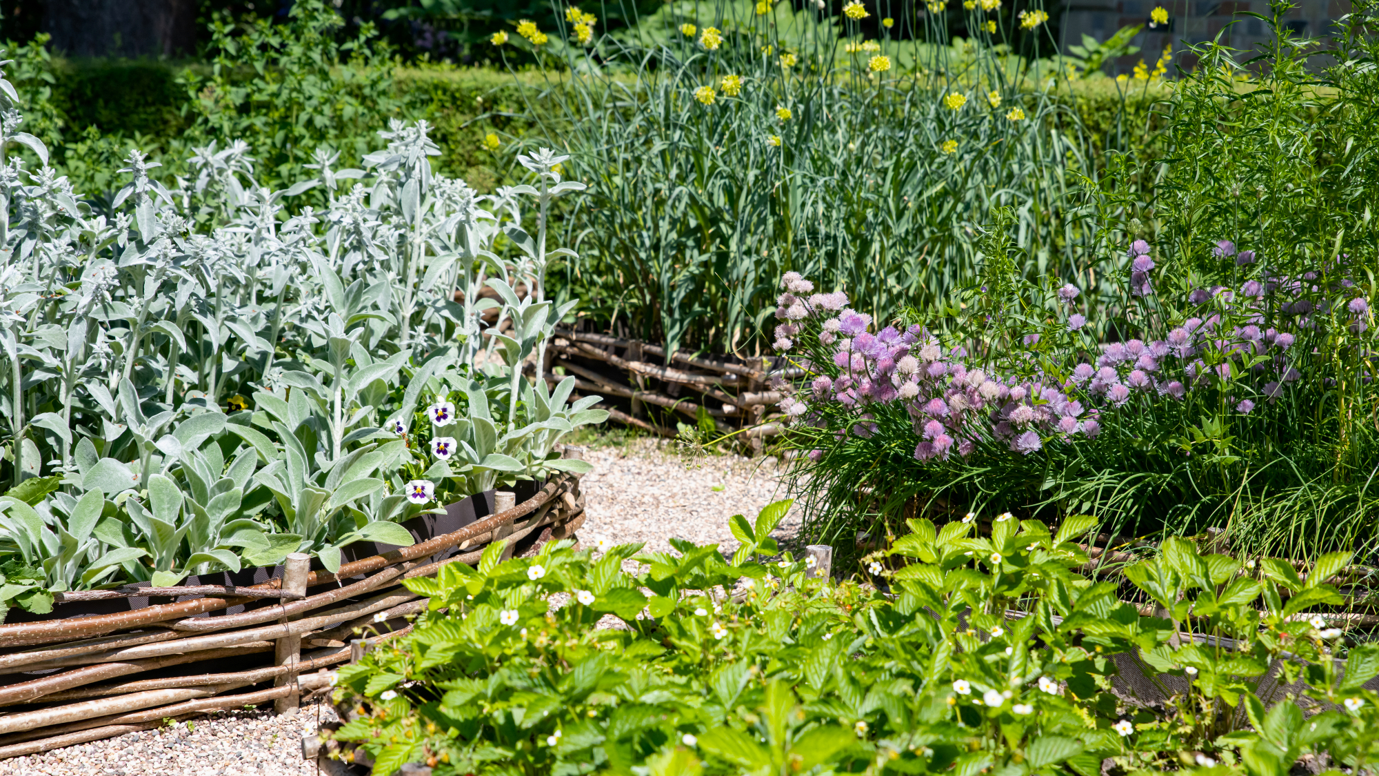 wattle raised bed herb garden 