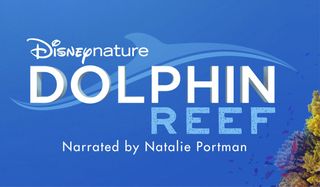 Dolphin Reef logo