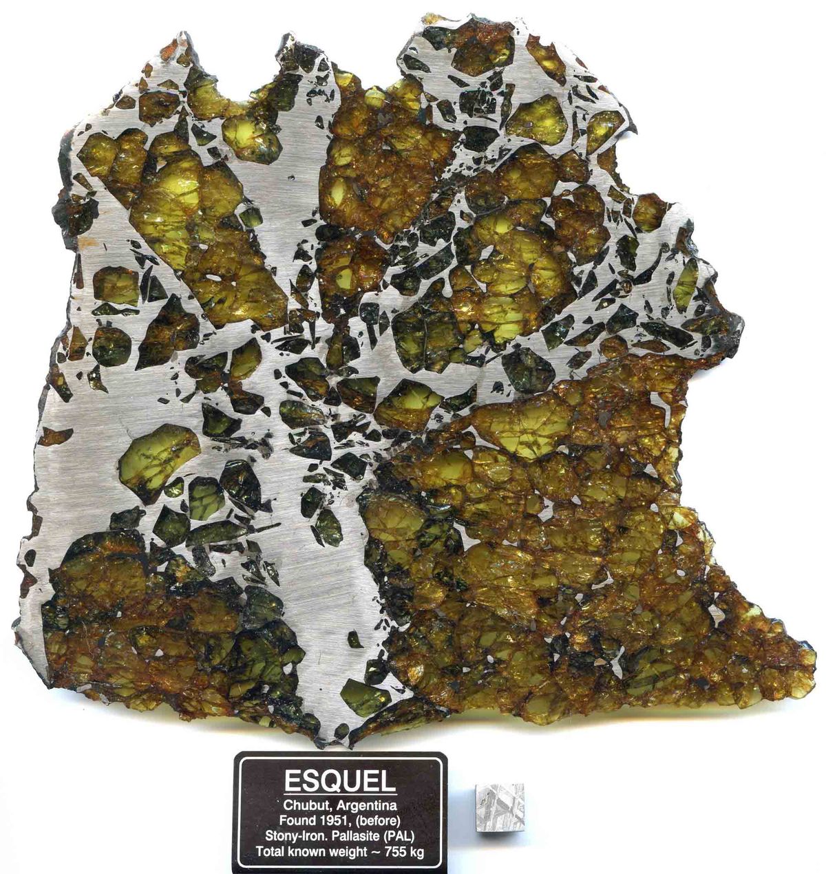 rare gem studded meteorites pallasite 1