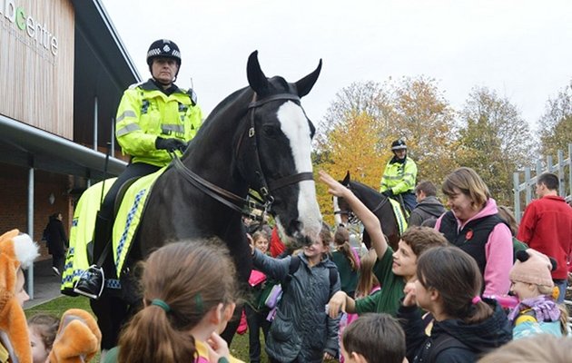 Caesar police horse