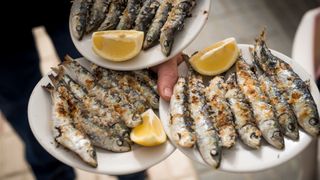 Three plates of grilled sardines